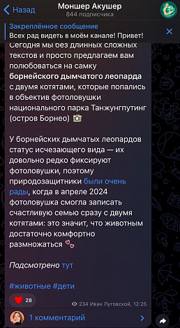 Экран приложения